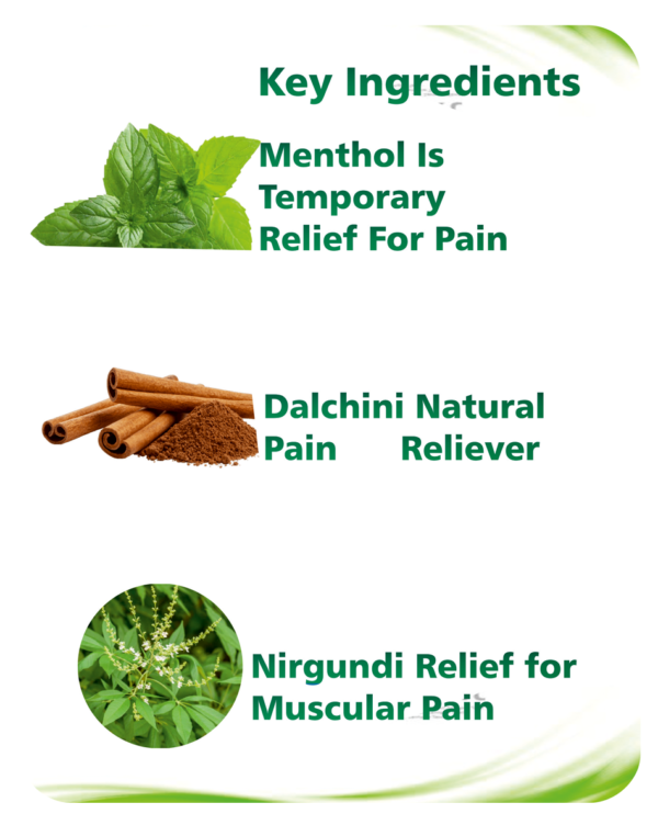 Penil Liniment Oil - Image 2