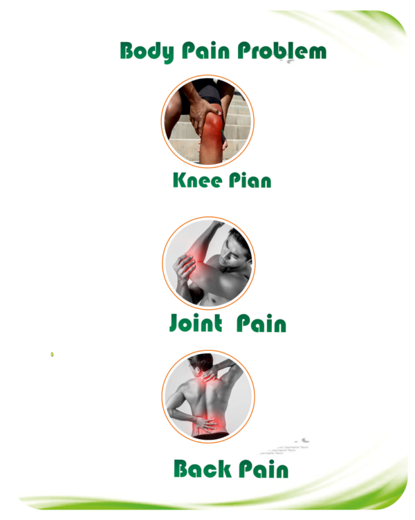 Penil Liniment Oil - Image 3