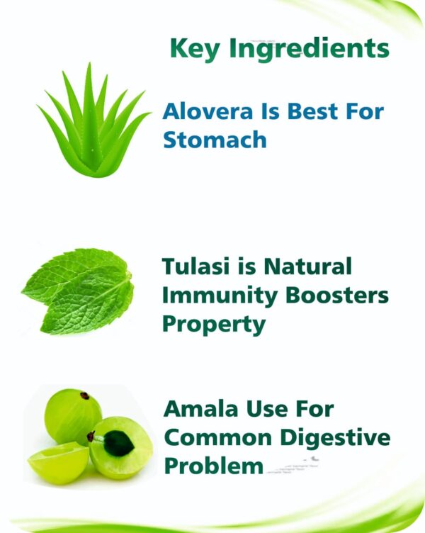 Saylo Alovera Syrup - Image 2